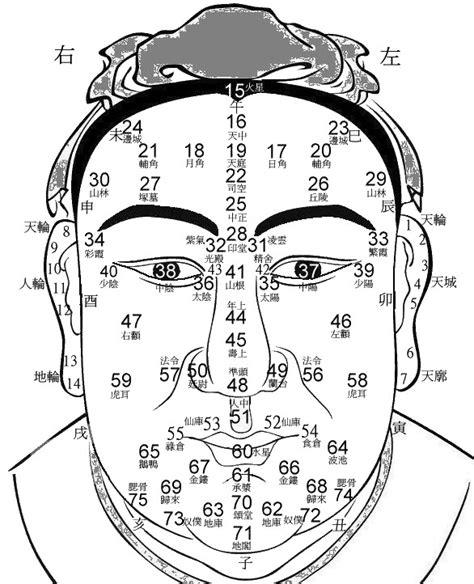 面相行運年齡|1到100岁，面相流年气运图教你如何看自己的面相